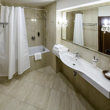 酒店 Fleur De Lis 4*