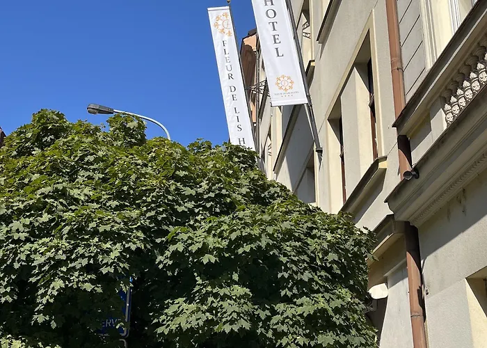 Hotel Fleur De Lis 4*